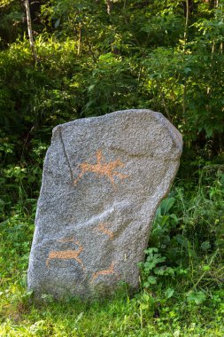 Kaya resimleri terrenkur sağlık taşla Belokurikha dağ nehir boyunca iz