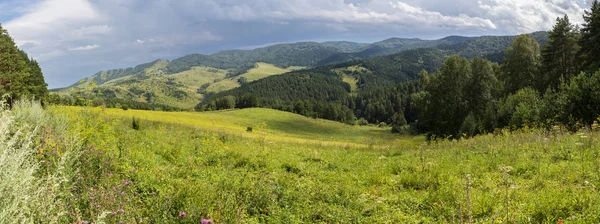 Beautiful panorama of the summer landscape in Altai Mountains — Stock Photo, Image