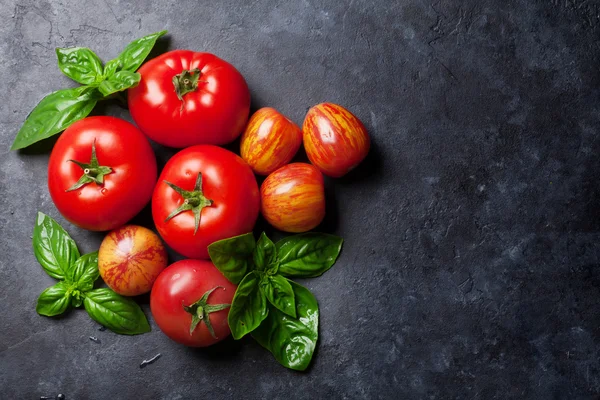 Garden tomatoes and basil — Stock Photo, Image