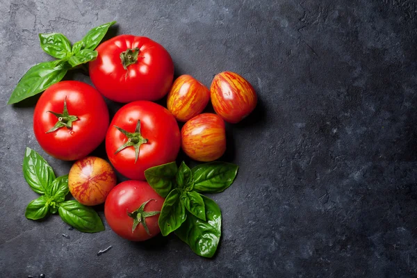 Tomates e manjericão — Fotografia de Stock