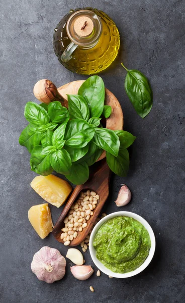 Pesto omáčkou Ingredience — Stock fotografie