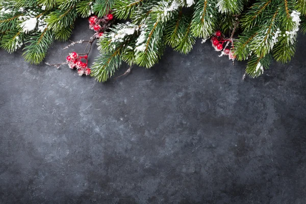 Karácsonyi fenyő fa és a hó — Stock Fotó