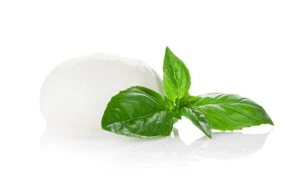 Fresh Mozzarella cheese — Stock Photo, Image