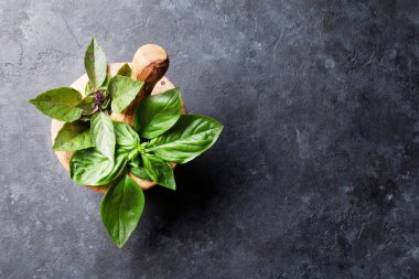 Taze Bahçe basil otlar