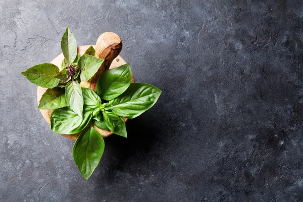 Fresh garden basil herbs — Stock Photo, Image