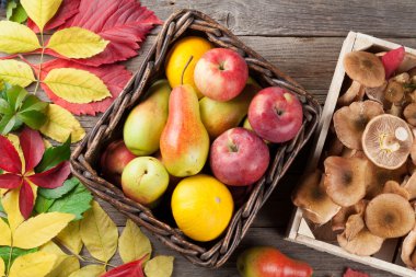 Mantar ile sonbahar meyve