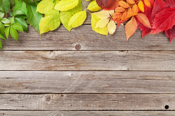 Kleurrijke Herfstbladeren — Stockfoto