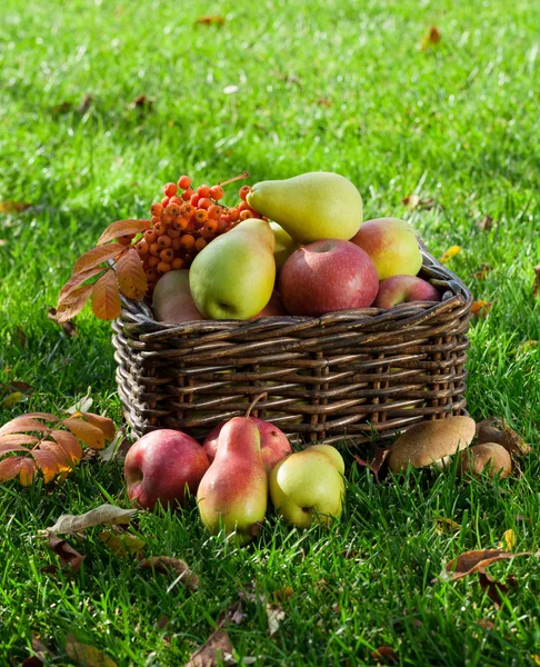 Autumn fruits box — Stock Photo, Image