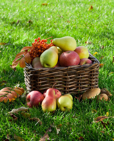 Осенний фруктовый ящик
