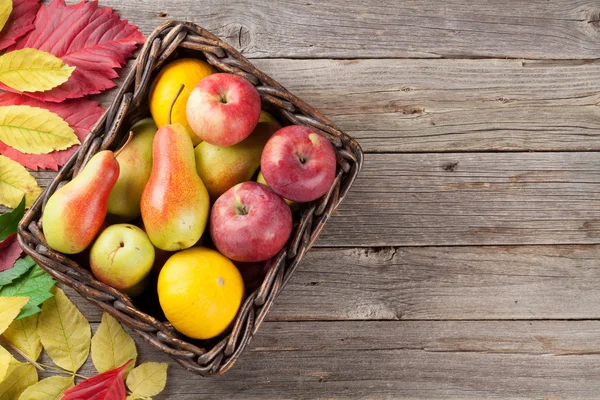 Scatola di frutta autunnale — Foto Stock