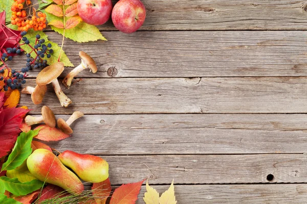 Bunte Herbstblätter — Stockfoto