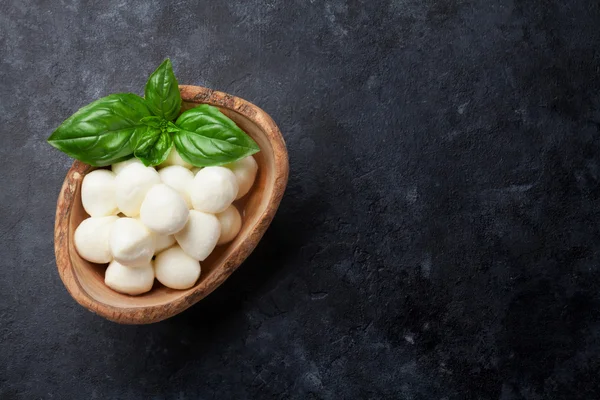 Queso mozzarella y albahaca — Foto de Stock