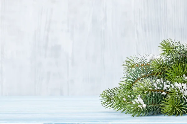 Christmas snowy fir tree branch — ストック写真