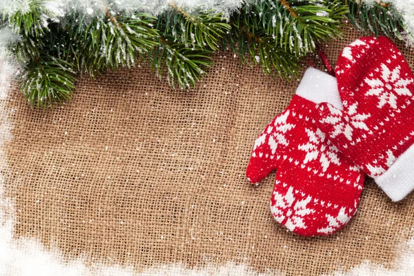 Christmas mittens and snow fir tree — Stockfoto