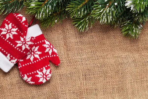 Decoración manoplas de Navidad y abeto nevado — Foto de Stock