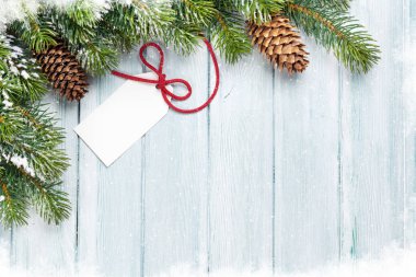 Koniler ile etiket ve çam dalı