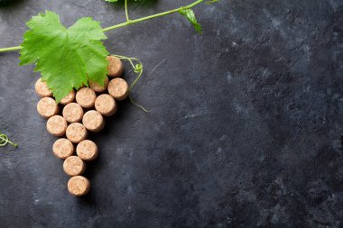 Üzüm şekil ve vine şarap mantarlar