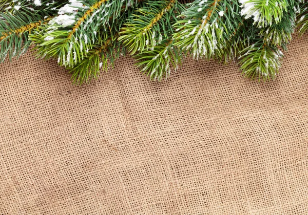 Christmas snow granen över säckväv textur — Stockfoto