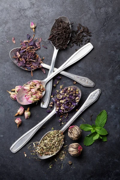 Surtido de té seco en cucharas — Foto de Stock