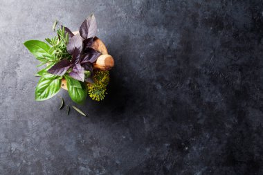 Harç taze Bahçe otlar