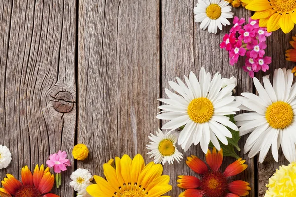 Trädgård blommor över trä bakgrund — Stockfoto