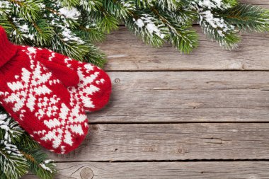 Çam ağacı ve mittens Noel arka plan