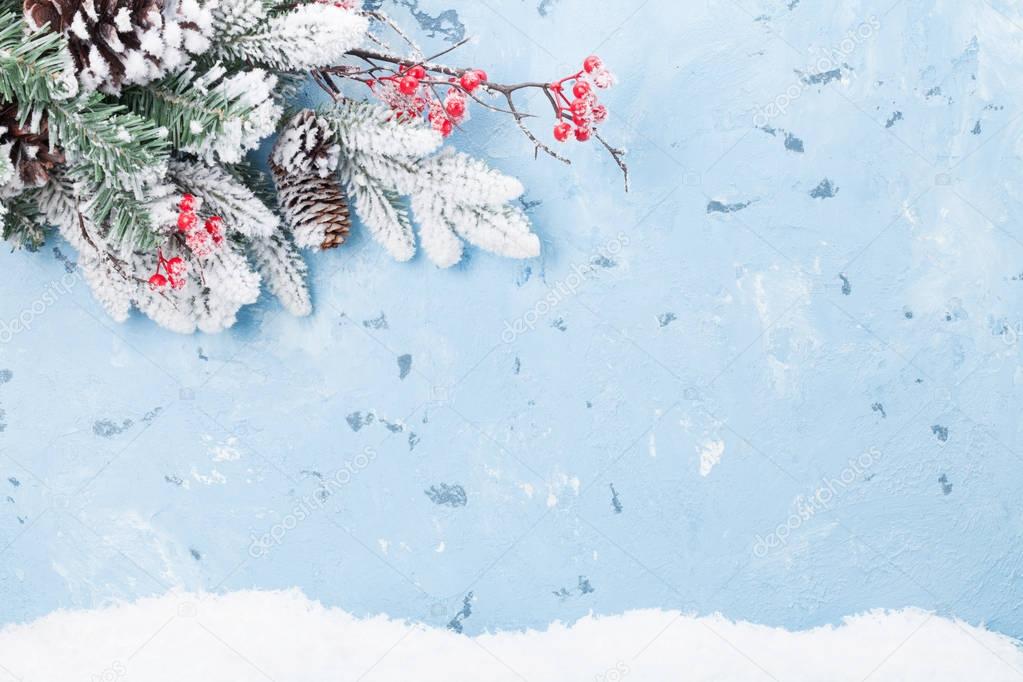 Background with fir tree branch and berries