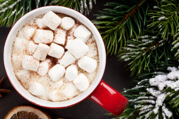 Juletre og varm sjokolade – stockfoto