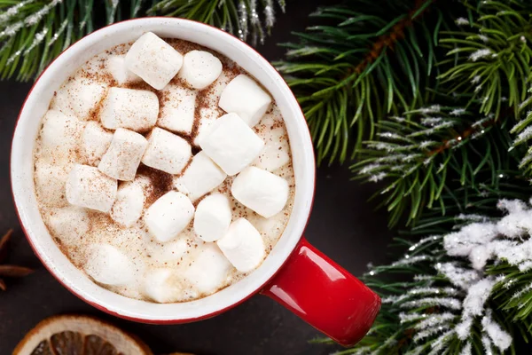 Christmas fir tree and hot chocolate — Stock Photo, Image