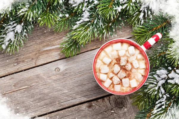 Vánoční strom jedle a horká čokoláda — Stock fotografie