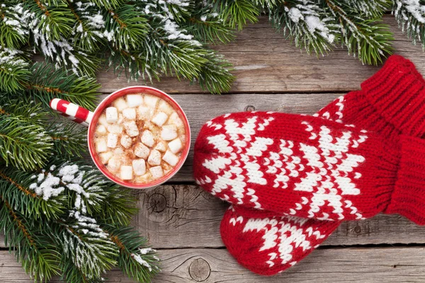 Tannenbaum, Fäustlinge und Schokolade — Stockfoto