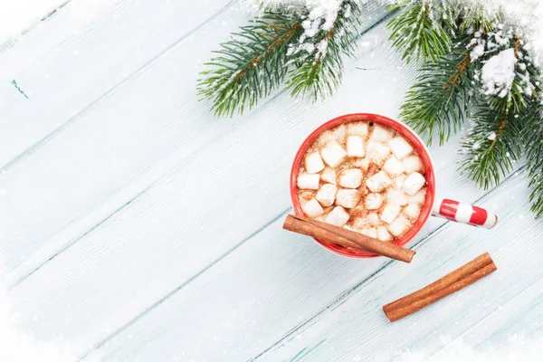 Noel köknar ağacı ve sıcak çikolata — Stok fotoğraf