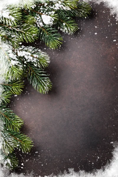 積雪のモミの木と石の背景 — ストック写真
