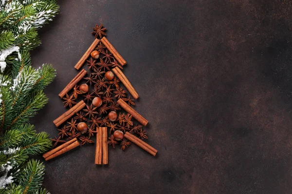 Weihnachtsbaum mit Anis und Zimt-Gewürzen — Stockfoto