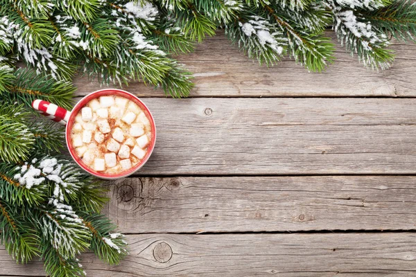 Abeto de Navidad y chocolate caliente —  Fotos de Stock