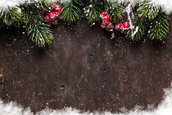 Fir julgran och rowan bär — Stockfoto