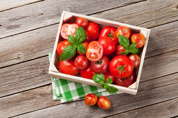 Tomates frescos de jardín maduros —  Fotos de Stock