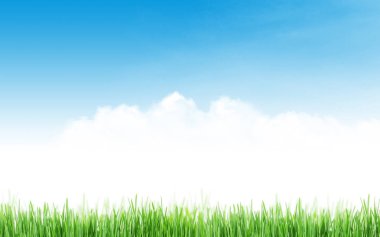 çim ve bulutlu gökyüzü