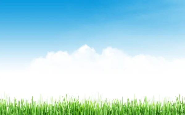 잔디와 흐린 하늘 — 스톡 사진