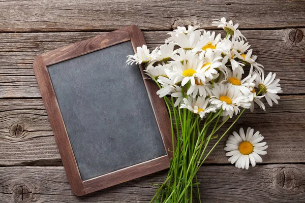 Tableau noir et fleurs de camomille — Photo