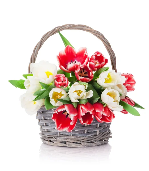 Bunter Tulpenstrauß — Stockfoto