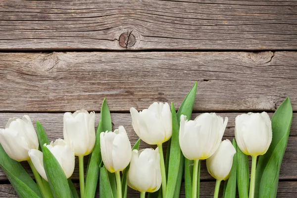 Bukiet białych tulipanów — Zdjęcie stockowe