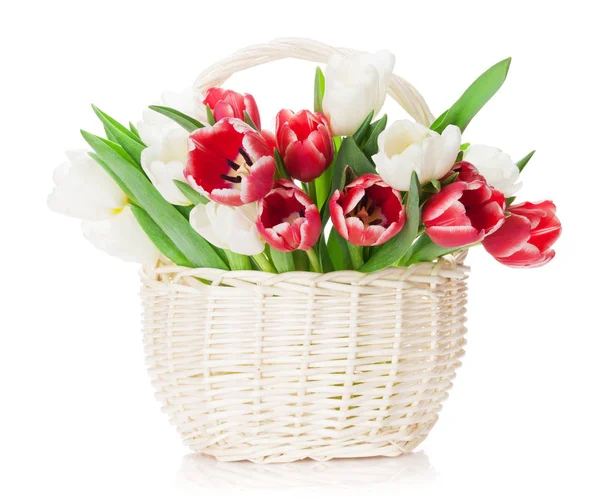 Red and white tulips in basket — Stock Photo, Image