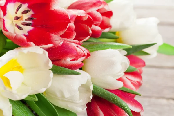 Ramo de tulipanes rojo y blanco — Foto de Stock