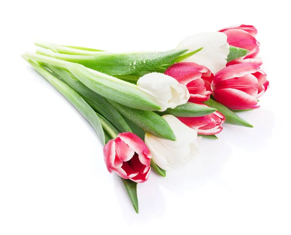 Colorful tulips bouquet — Stock Photo, Image