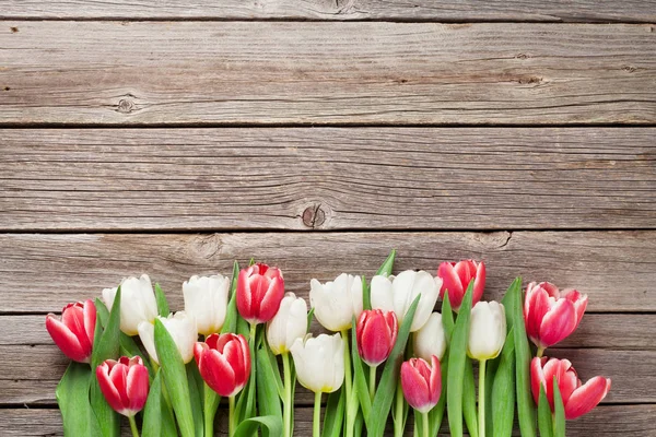 Red and White tulips — Stock Photo, Image