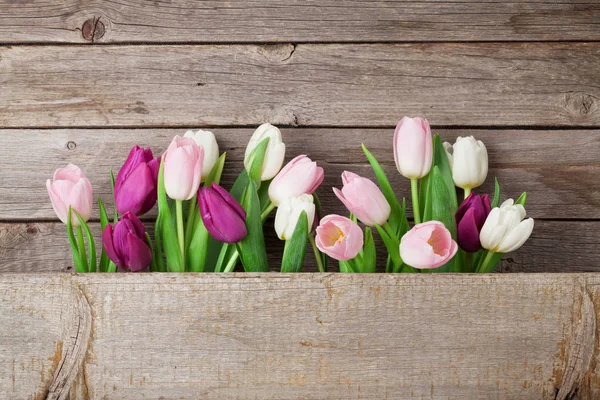 Carte de Pâques avec tulipes colorées — Photo