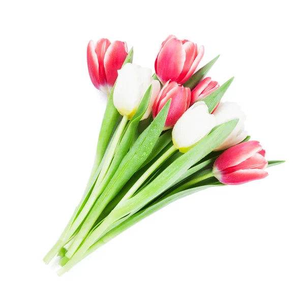 Bunter Tulpenstrauß — Stockfoto