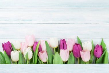 Paskalya kartı ile renkli Lale