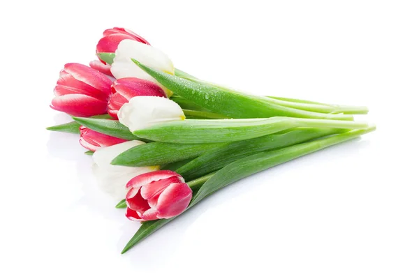 Kytice barevné tulipány — Stock fotografie
